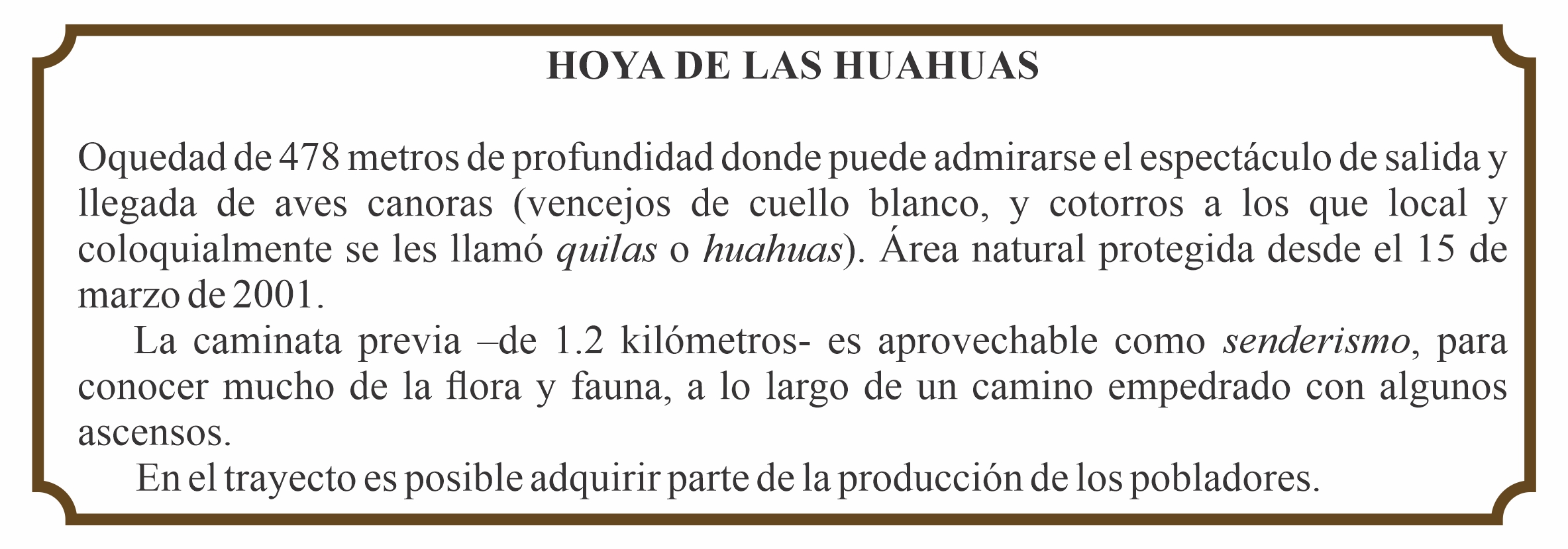 Hoya de huahuas
