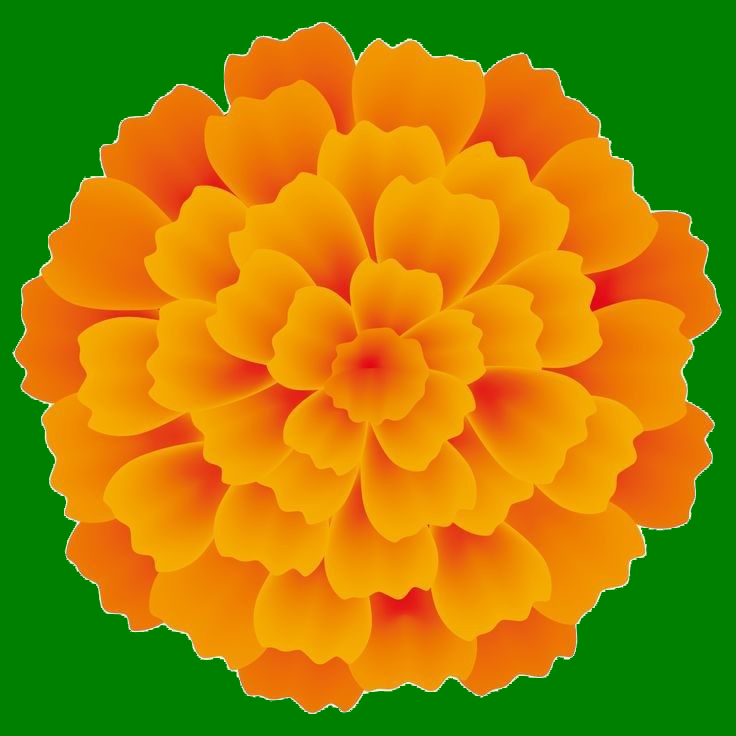 FLOR1